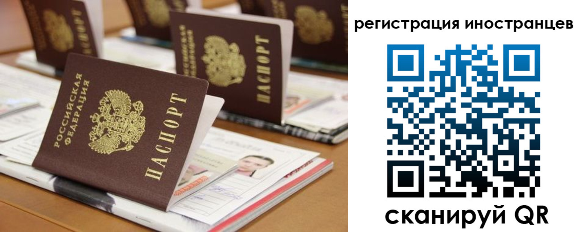 прописка для работы в Сольцах