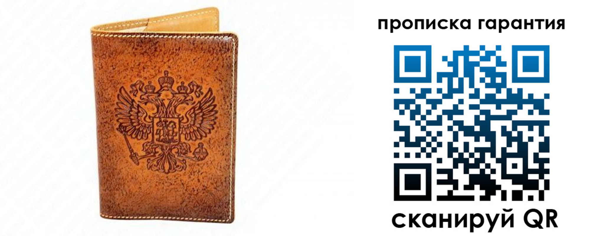 прописка для школы в Сольцах
