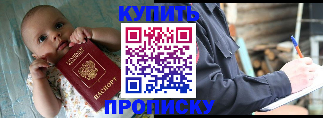 прописка поиск в Сольцах