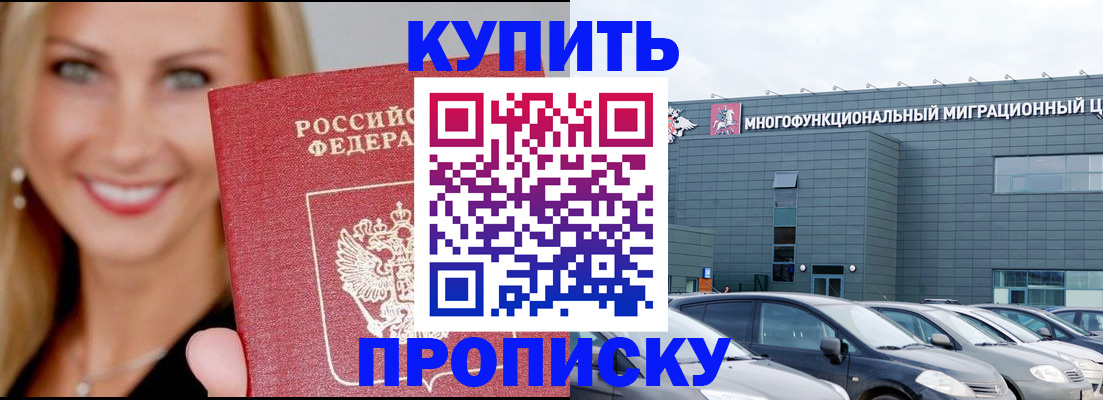 прописка поиск в Сольцах